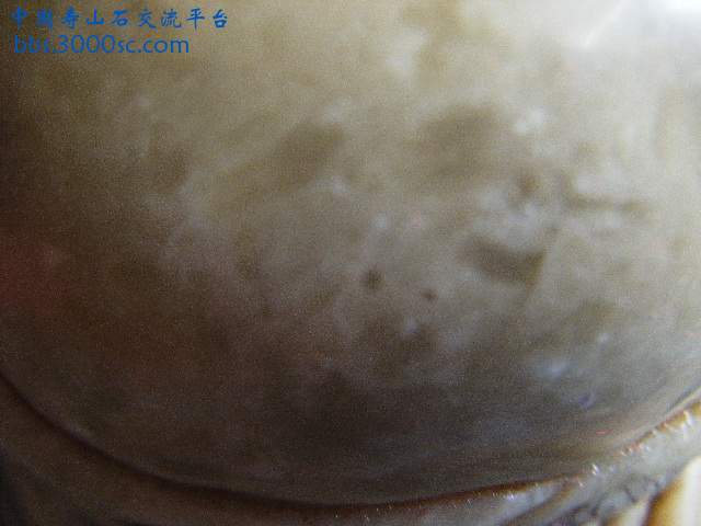 寿山石cl 015.jpg
