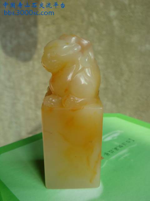 DSC03289.JPG