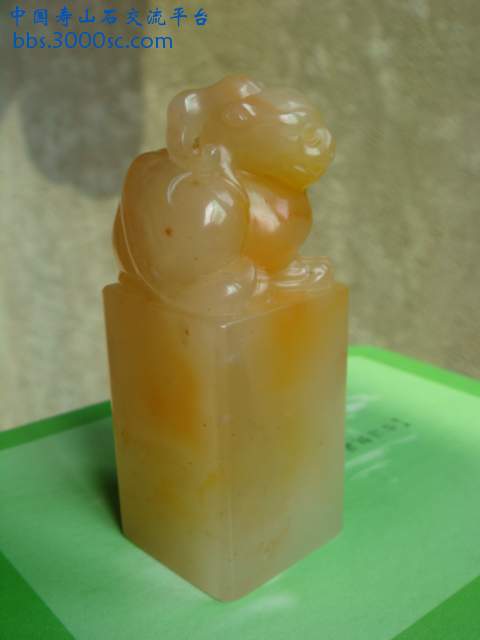 DSC03287.JPG