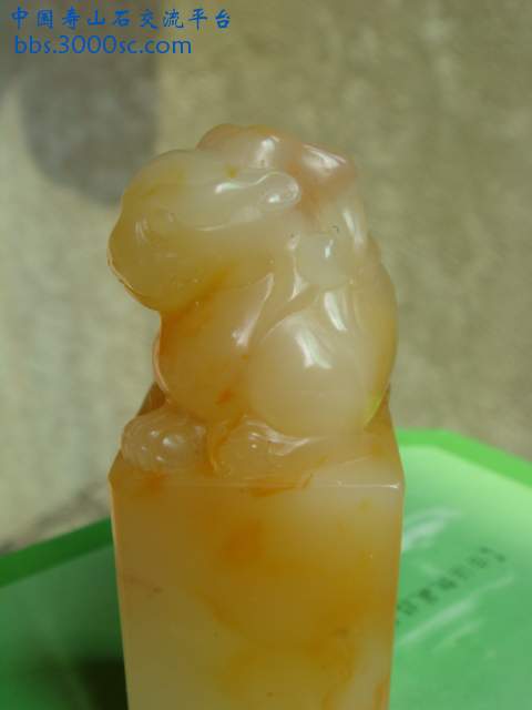 DSC03291.JPG