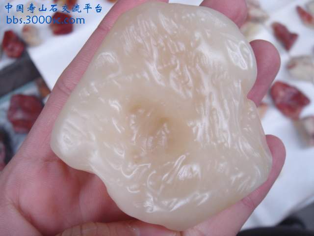 DSC03535.JPG