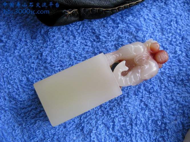 IMG_4977_缩小大小.JPG