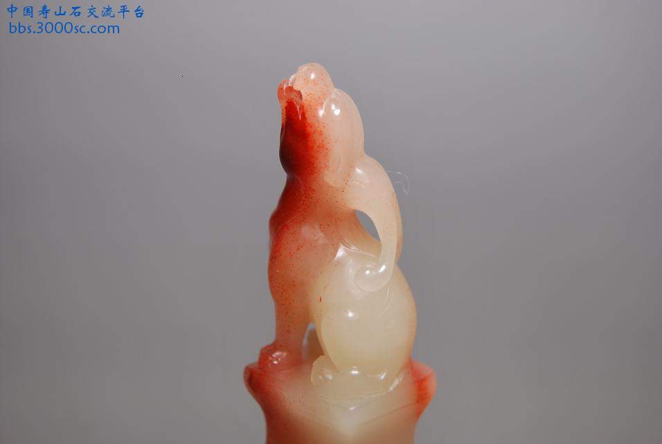 k-4.4.JPG