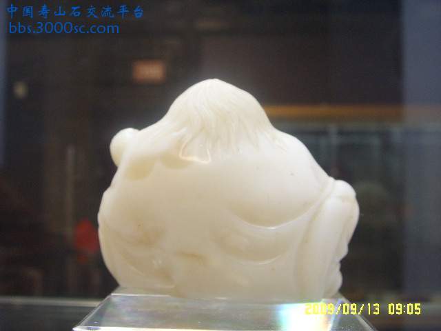 SSL14133.JPG