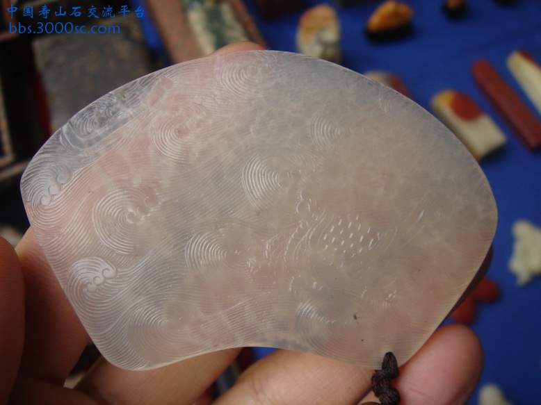 DSC03766_调整大小.JPG