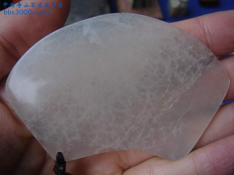 DSC03767_调整大小.JPG