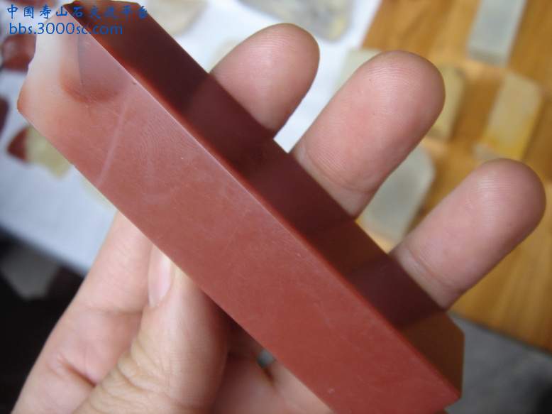 DSC03776_调整大小.JPG