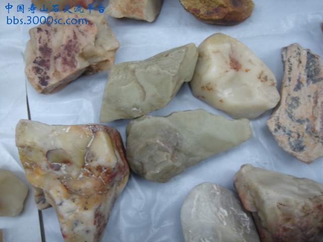 DSC03800.JPG