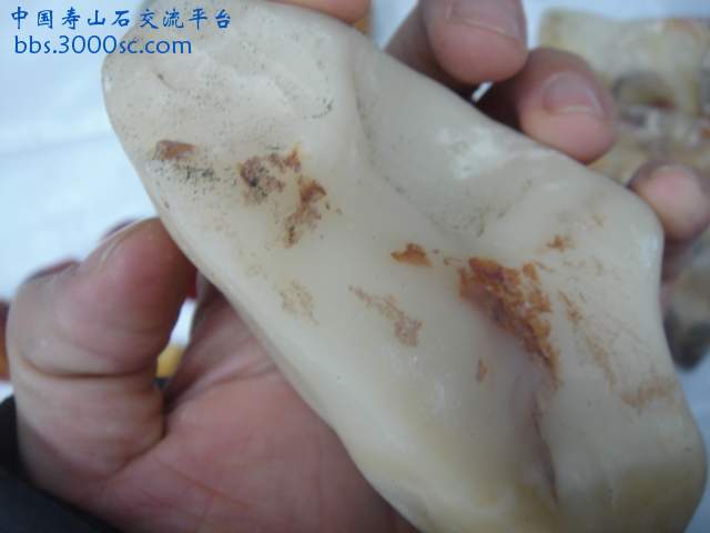 DSC03801.JPG