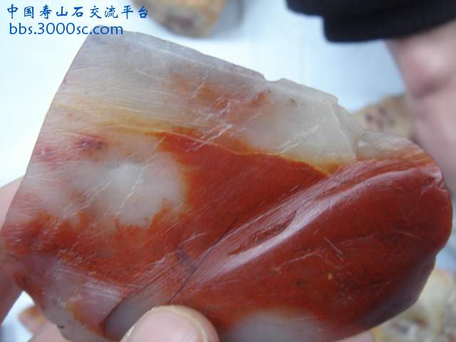 DSC03804.JPG