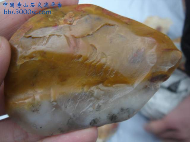 DSC03803.JPG