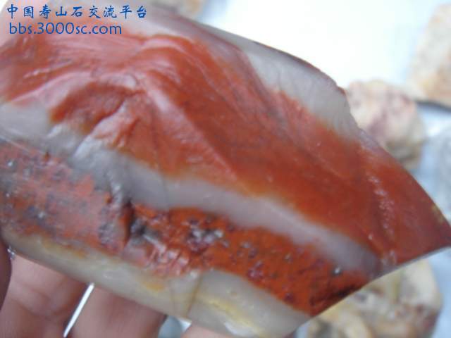 DSC03805.JPG