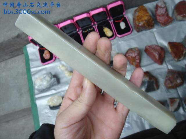 DSC03807.JPG