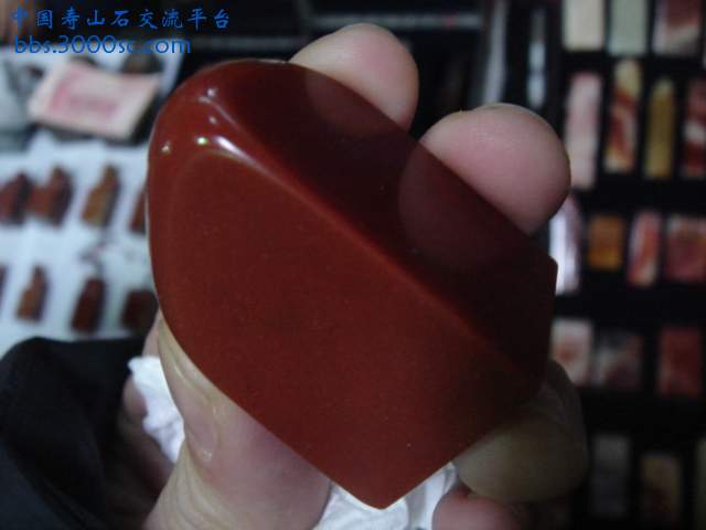DSC03813.JPG