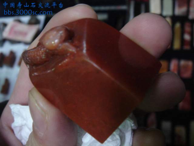 DSC03814.JPG