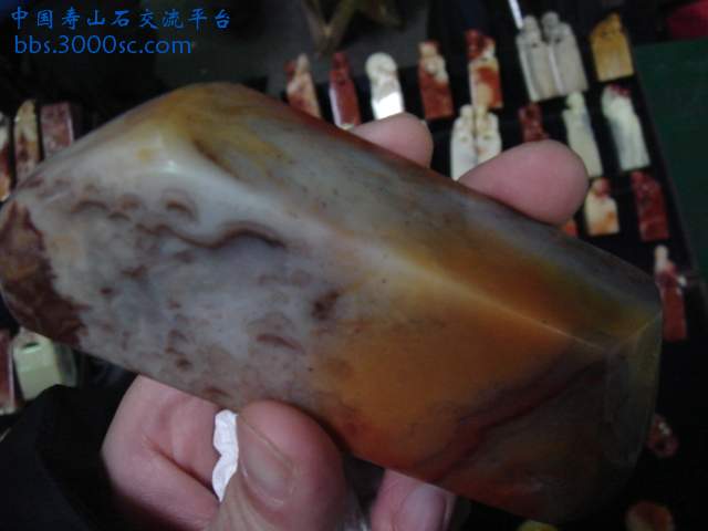 DSC03815.JPG