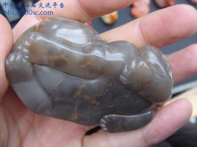 DSC03878.JPG
