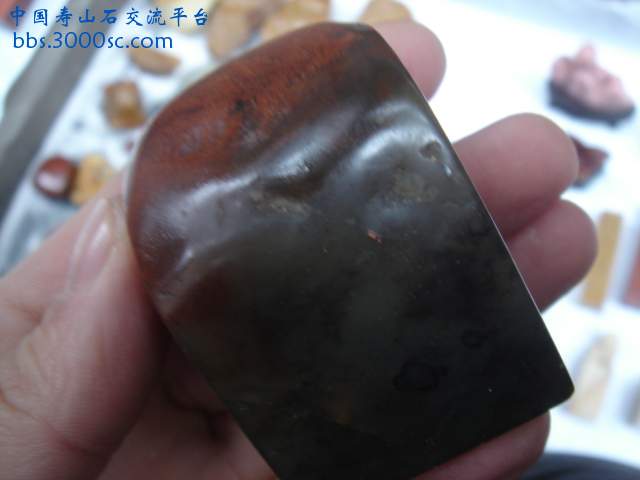 DSC03912.JPG
