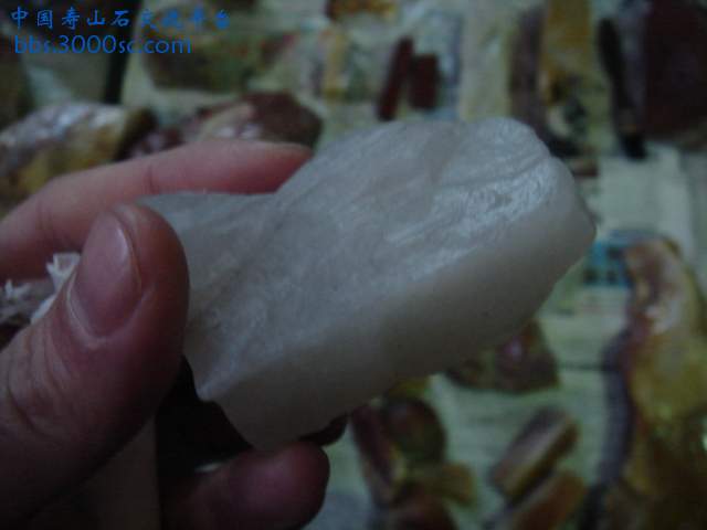 DSC03914.JPG