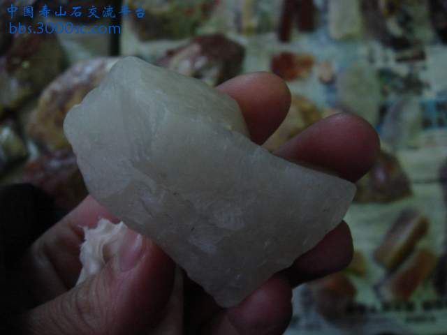 DSC03915.JPG