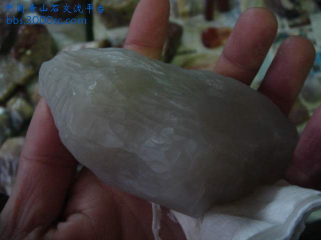 DSC03916.JPG