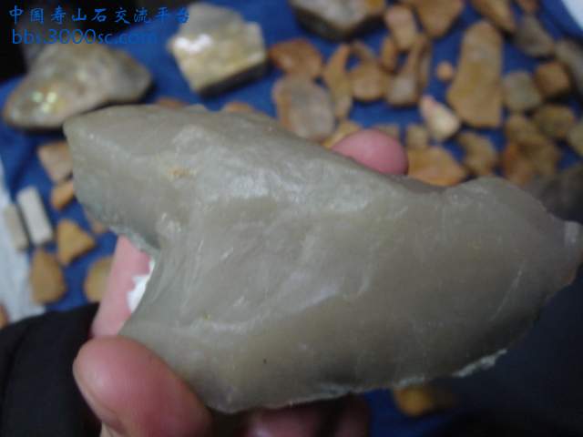 DSC03919.JPG