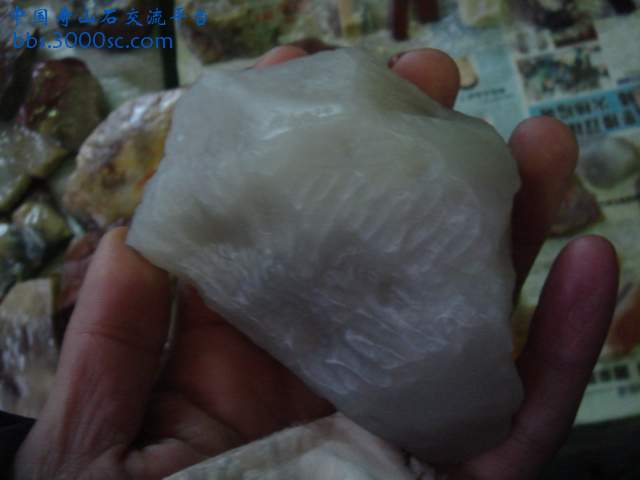 DSC03917.JPG
