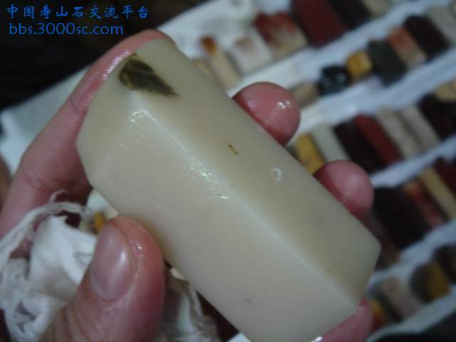 DSC03921.JPG