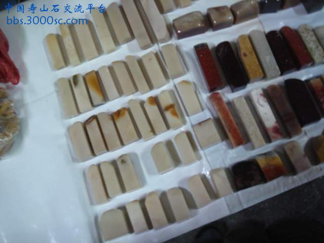 DSC03923.JPG