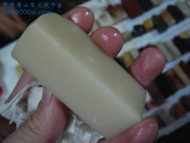 DSC03922.JPG