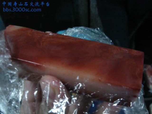 DSC03929.JPG