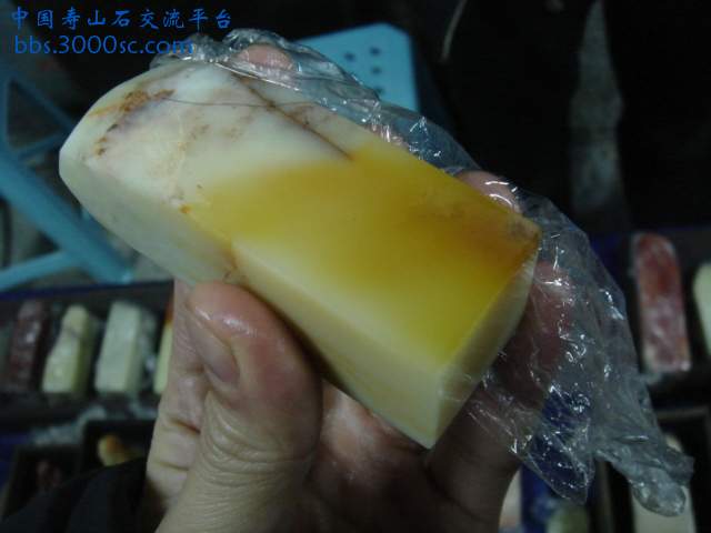 DSC03930.JPG