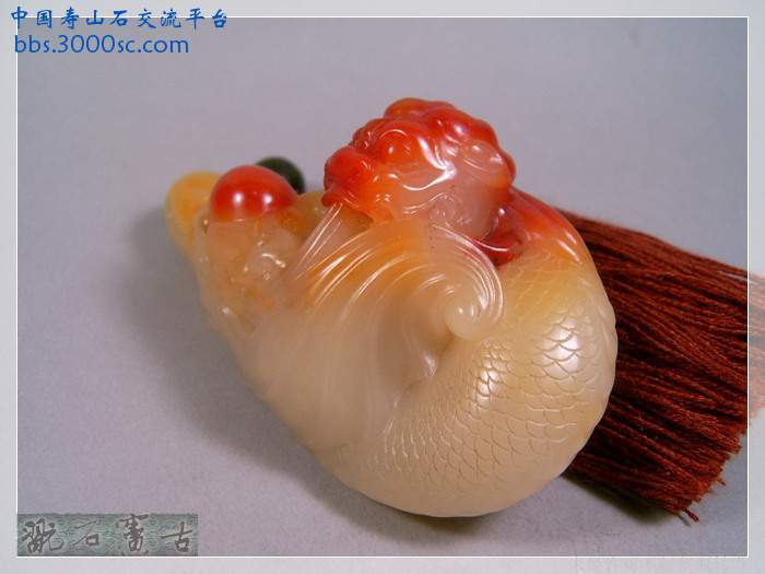 SUC38512.jpg