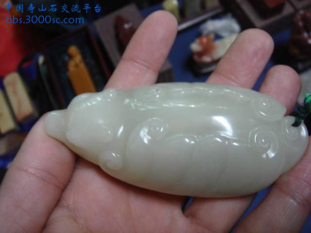 DSC03947.JPG