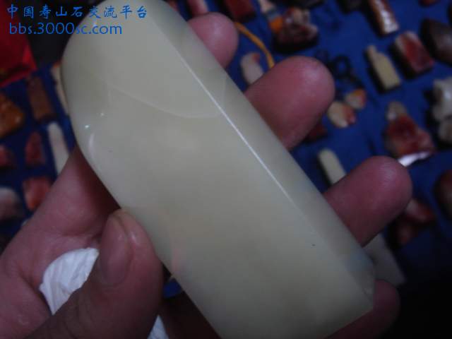 DSC03993.JPG
