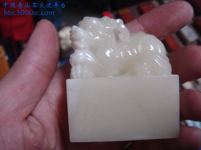 DSC03995.JPG