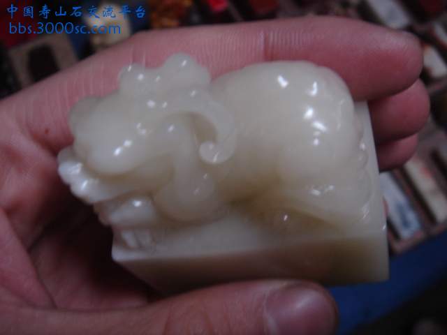 DSC03997.JPG