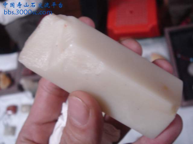 DSC04002.JPG