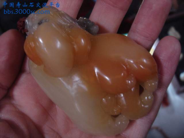 DSC04006.JPG