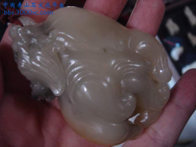 DSC04007.JPG