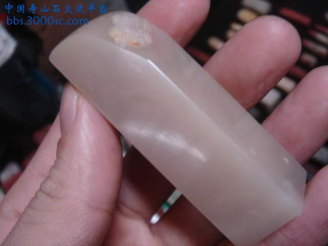 DSC04008.JPG