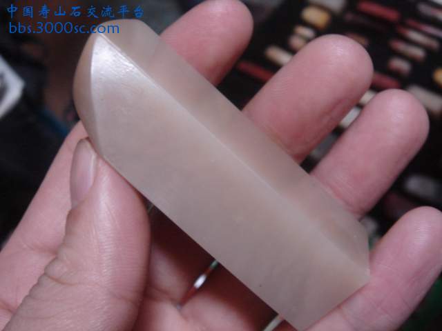 DSC04009.JPG
