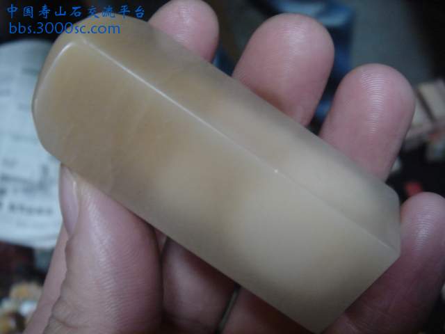 DSC04010.JPG