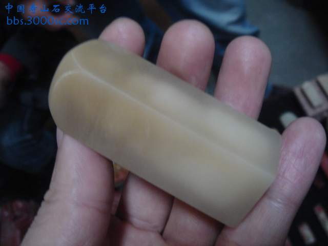DSC04011.JPG