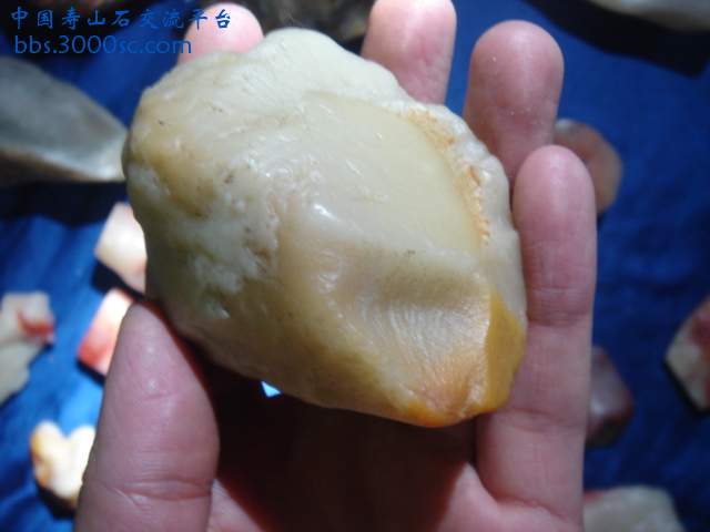 DSC04100.JPG