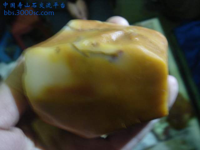 DSC04104.JPG