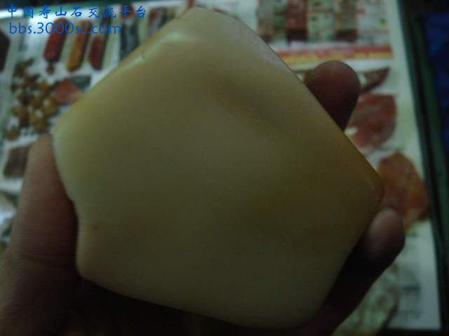 DSC04106.JPG