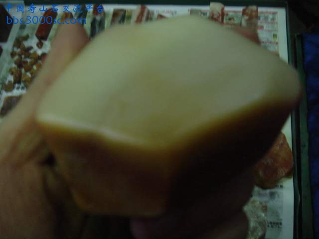 DSC04105.JPG