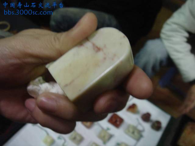 DSC04109.JPG