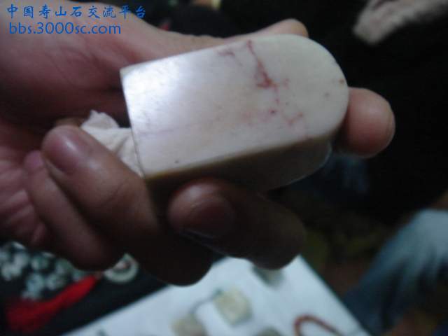 DSC04111.JPG